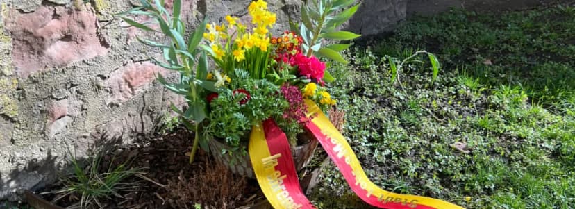 Blumengesteck mit Narzissen an einer Mauer, geschmückt mit rot-gelber Schleife