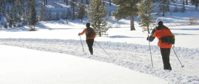 Zwei Langläufer mit Skistöcken auf einer Loipe durch verschneite Winterlandschaft