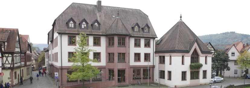 Historisches Rathausgebäude mit Fachwerkhäusern in einer Altstadtgasse