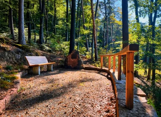 Blick auf eine Sitzbank mit Geländer mitten im Wald, die auch als Schlossmannsblick bekannt ist.