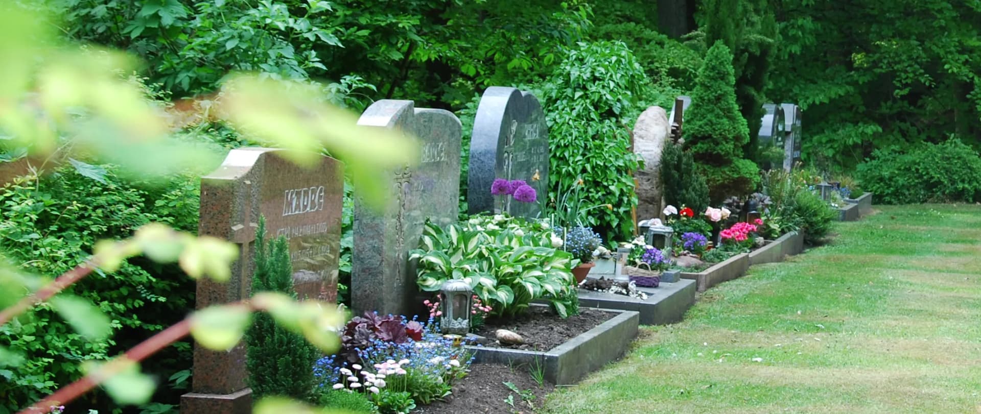 Grabsteine mit bepflanzten Gräbern und Blumenschmuck auf einem Friedhof, umgeben von Bäumen und Sträuchern