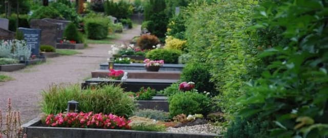 Grabreihen mit Blumenbepflanzung entlang eines Kieswegs auf dem Friedhof Sackenbach