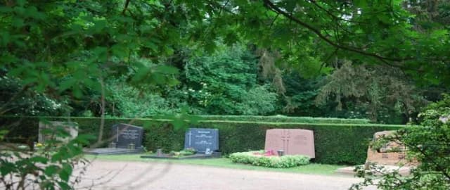 Grabsteine auf dem Friedhof Steinbach, umgeben von Hecken und Bäumen