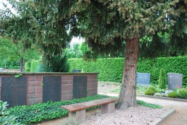 Gedenkwand mit Namenstafeln unter einem großen Nadelbaum, davor eine Sitzbank auf einem Friedhof.