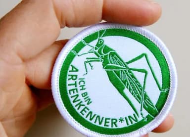 Hand hält runden Aufnäher mit Heuschrecke und Aufschrift „Ich bin Artenkenner*in!“