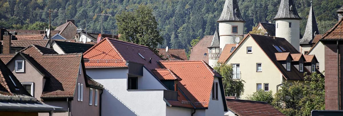 Blick über Hausdächer von Lohr a. Main mit den markanten Türmen des Alten Schlosses vor bewaldetem Hang.