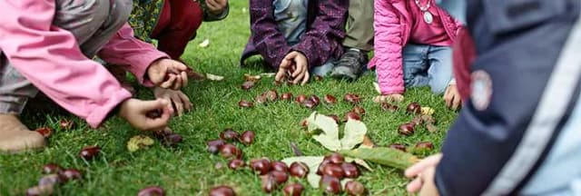 Kinder knien im Gras und sammeln Kastanien