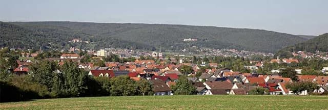 Panoramablick über den Ortsteil Wombach mit Wohnhäusern vor bewaldeten Hügeln des Spessarts