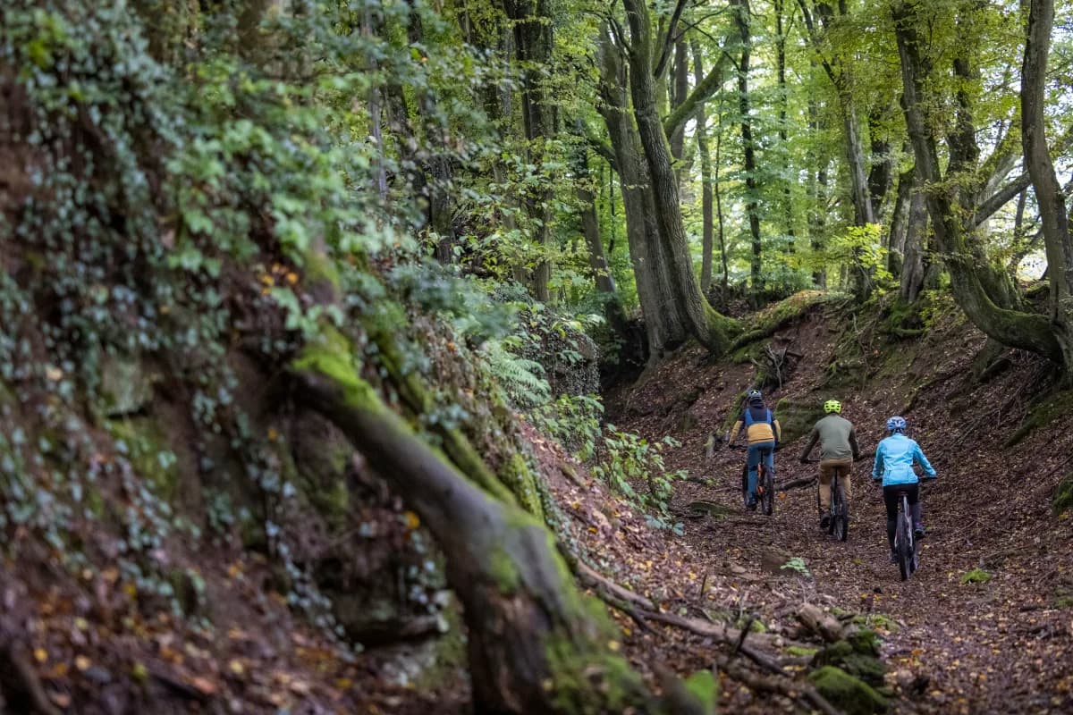 Mehrere Menschen fahren mit Mountainbike durch den Bikewald Spessart.