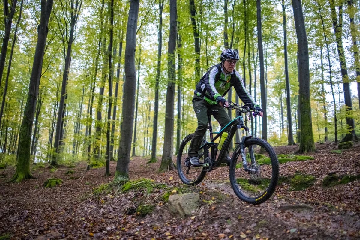 Ein Radfahrer fährt durch den Spessartwald in Lohr am Main.