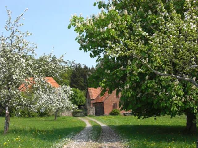 Blick auf den Margaretenhof
