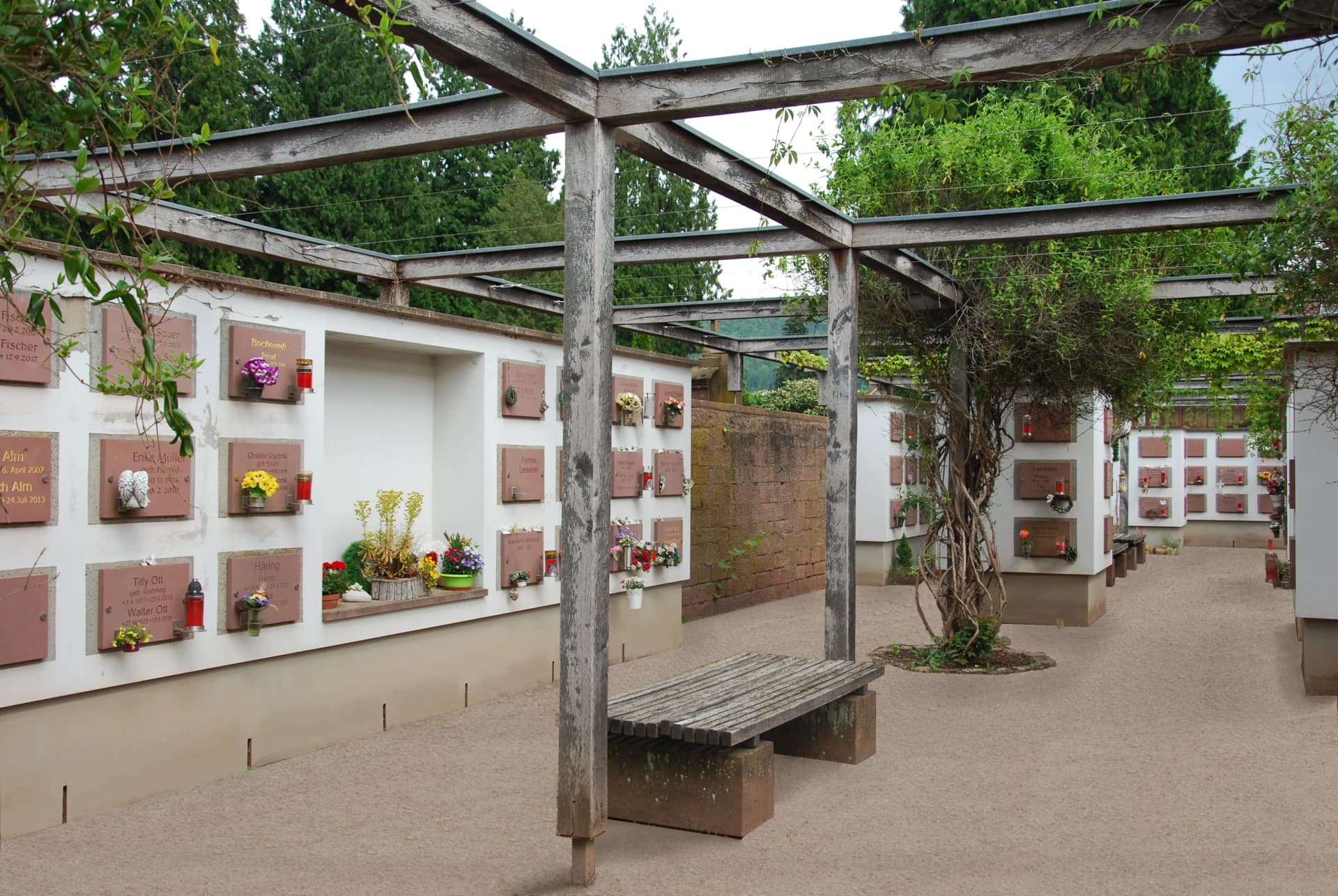 Urnenwand auf einem Friedhof mit Namenstafeln, Blumenschmuck und Holzpergola über einem Kiesweg mit Bank