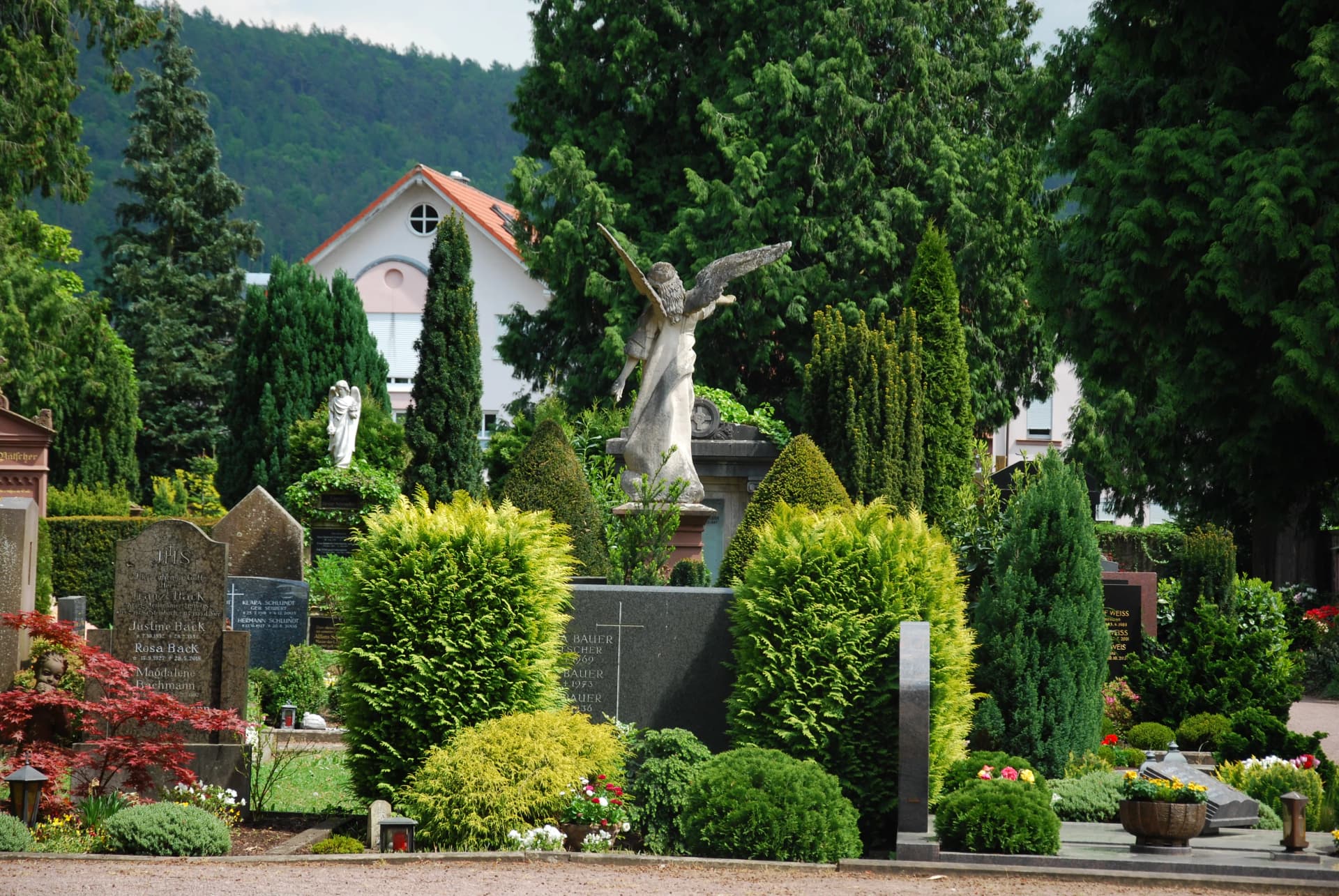 Friedhof mit Grabsteinen, Engelstatuen und Hecken, im Hintergrund ein Haus vor bewaldetem Berghang