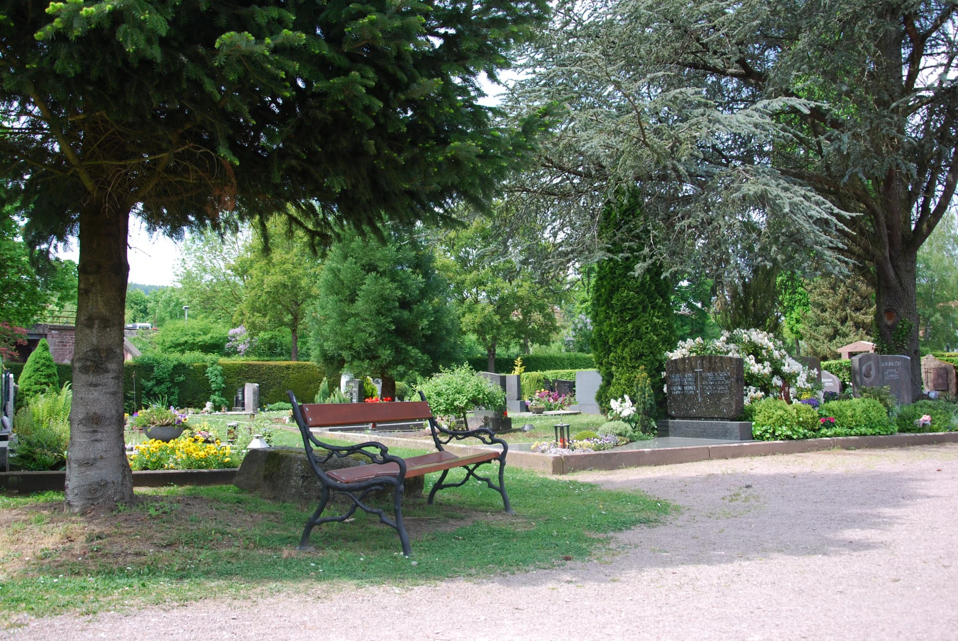 Sitzbank unter Bäumen auf einem Friedhof mit Grabsteinen und blühenden Blumen im Hintergrund