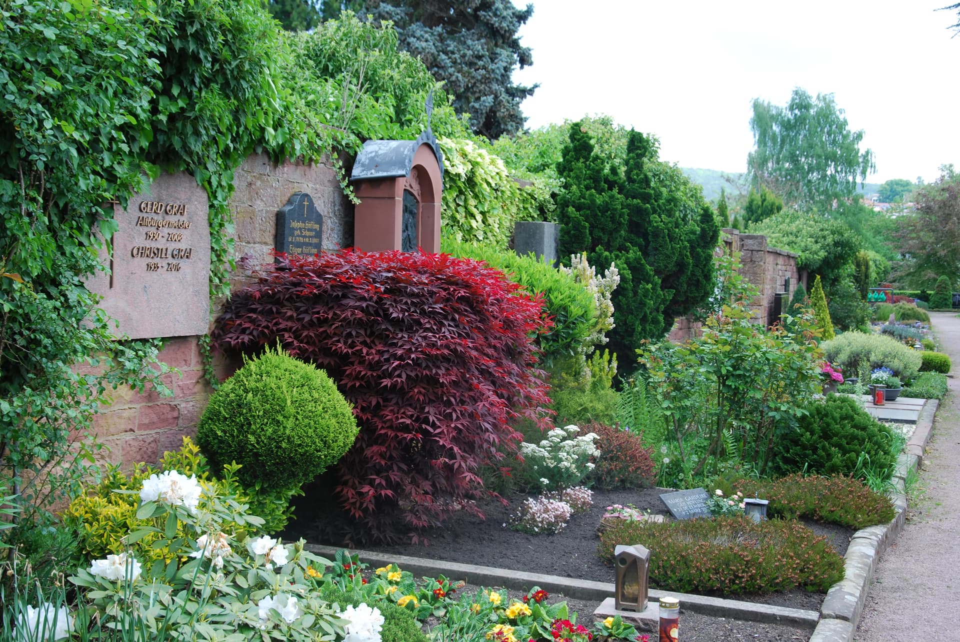 Grabstätten an einer Friedhofsmauer, umgeben von rotem Ahorn, Buchsbaum und blühenden Sträuchern.