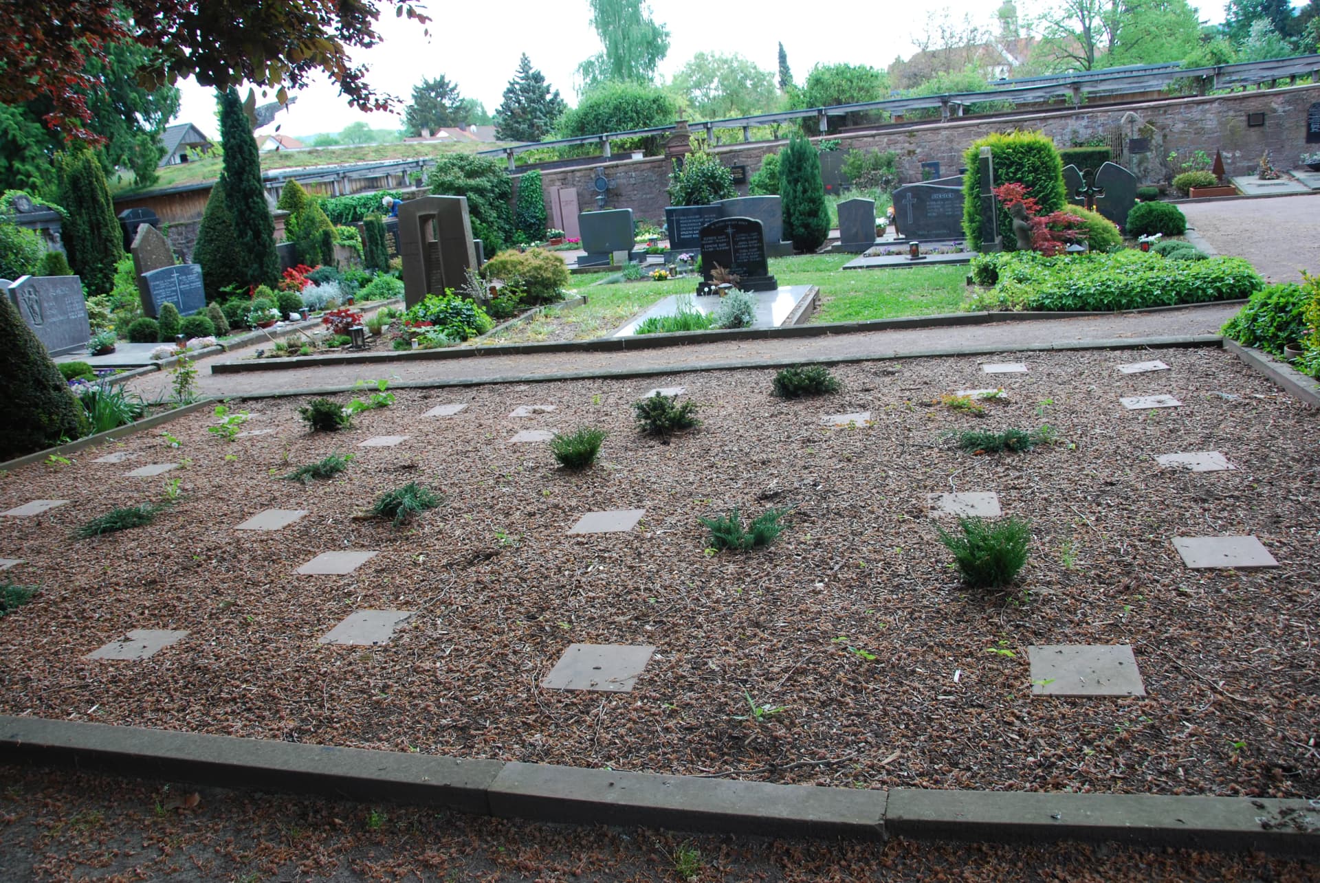 Friedhof mit Rasengrabfeld aus quadratischen Grabplatten zwischen Rindenmulch, im Hintergrund Grabsteine, Hecken und Bäume