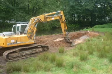 Gelber Bagger führt Erdarbeiten an einer Wiesenfläche am Waldrand aus