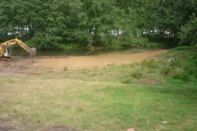 Bagger an einem trüben Teich mit Baumbestand und Wiese im Vordergrund