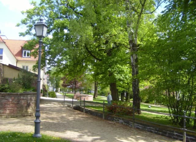 Parkweg in Lohr mit Laterne, alter Sandsteinmauer und großen grünen Bäumen entlang der städtischen Anlage