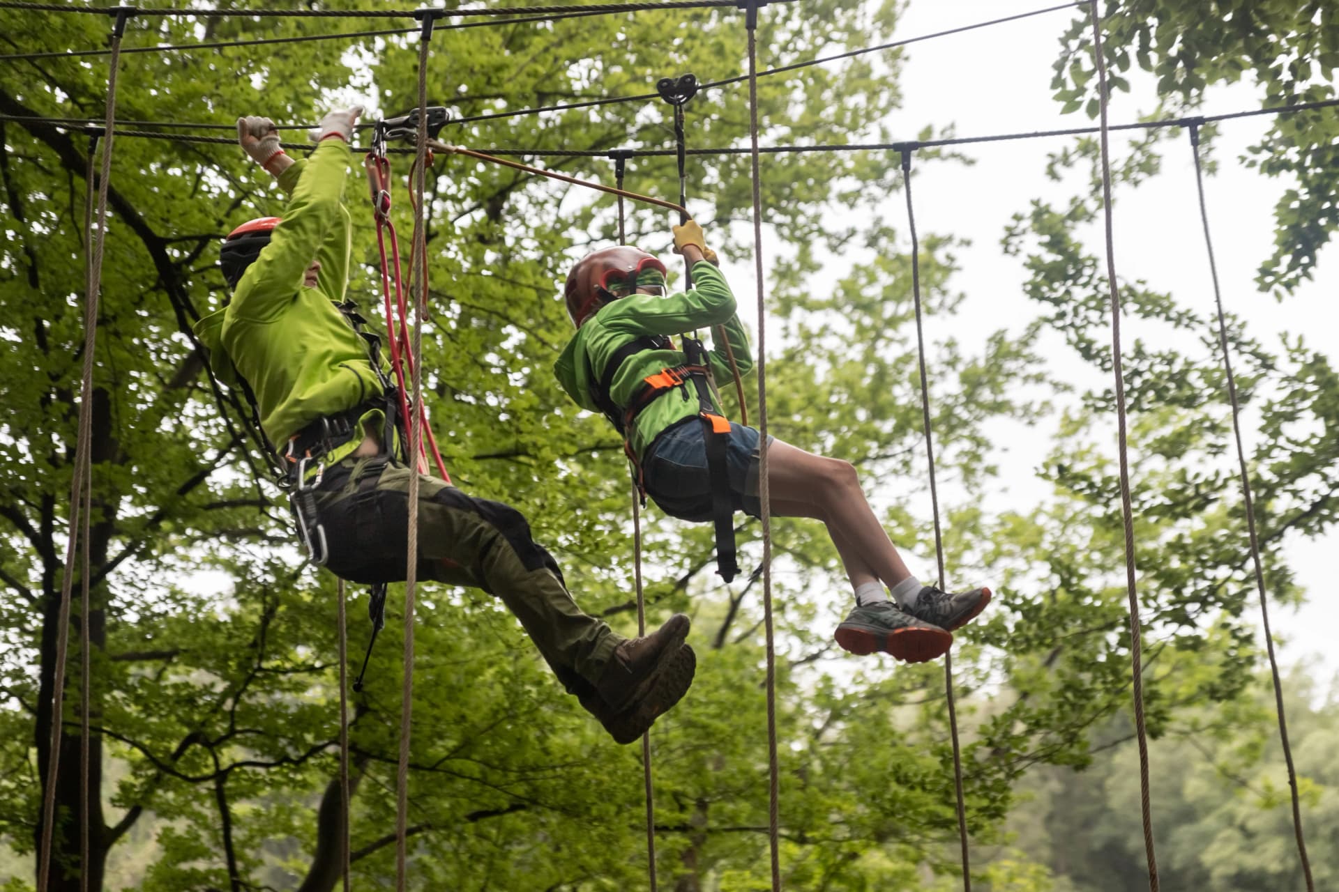 Zwei Personen mit Helm und Sicherungsgurt klettern an Seilen in einem Hochseilgarten zwischen Bäumen.