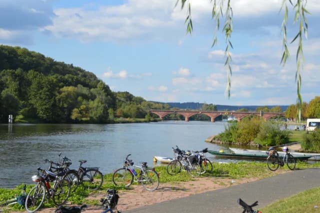 Mehrere Räder sind am Main in Marktheidenfeld zu sehen. Im Hintergrund ist noch eine Brücke sichtbar.