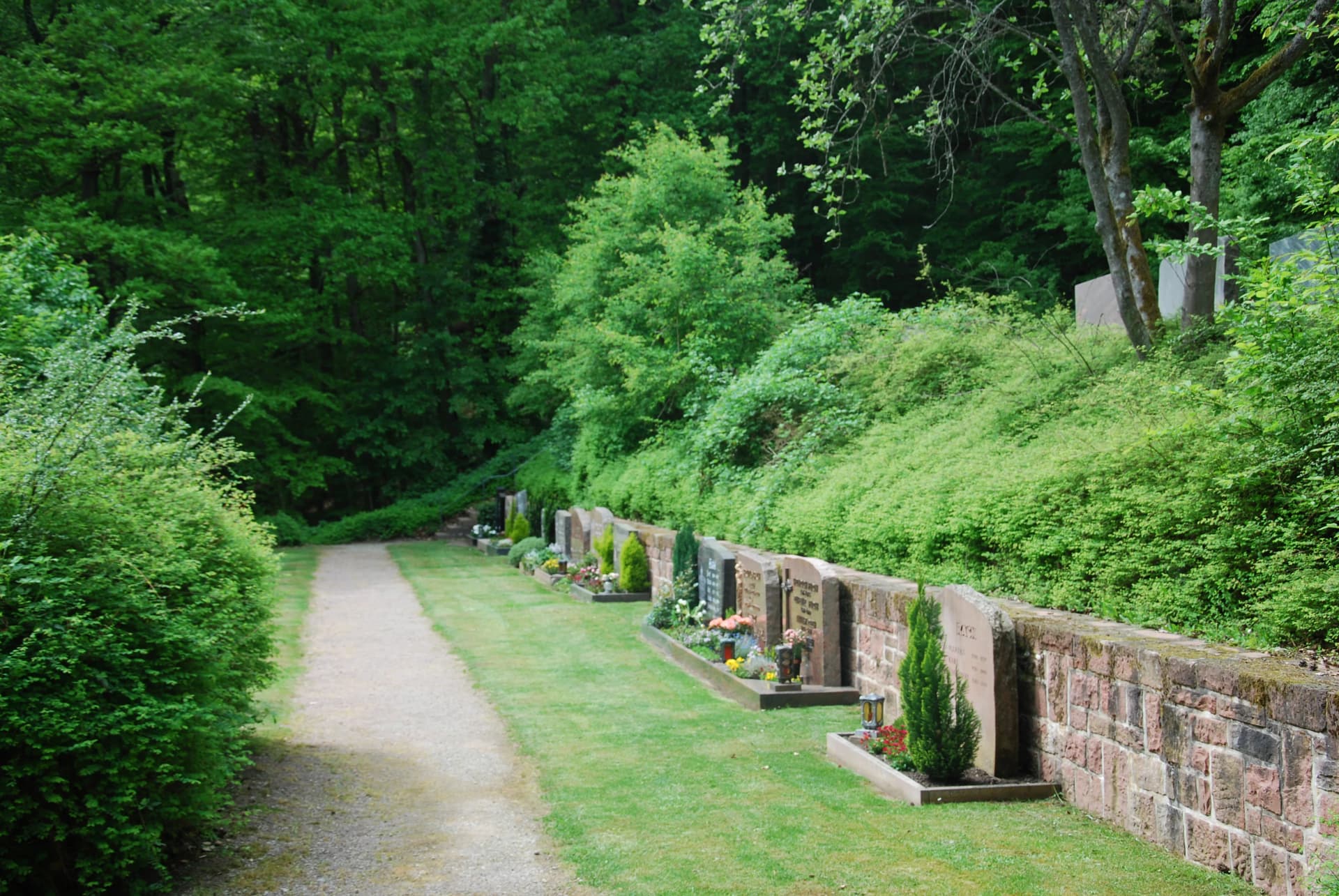 Reihe von Grabsteinen an einer Steinmauer entlang eines Wegs auf einem von Wald umgebenen Friedhof