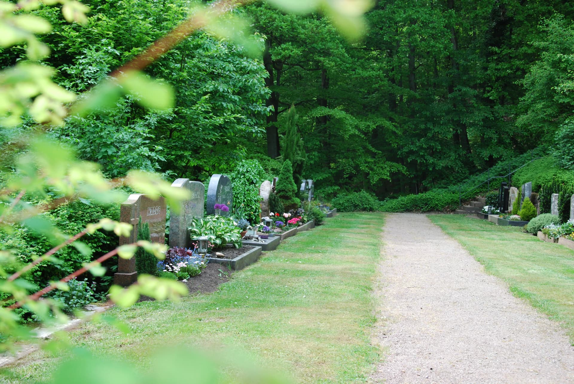 Kiesweg zwischen Grabreihen mit Blumen und Grabsteinen auf einem von Bäumen umgebenen Friedhof.