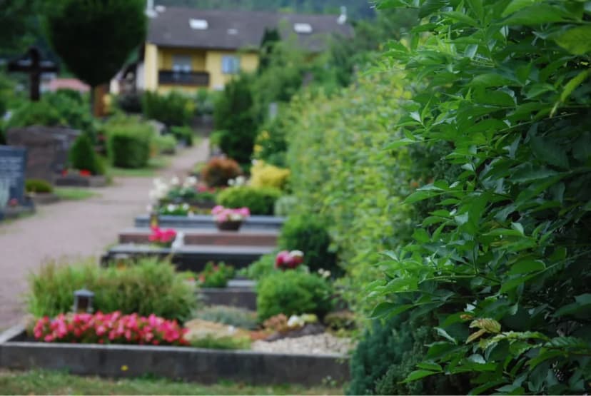 Gräberreihe mit Blumen und Grabsteinen auf einem Friedhof, im Hintergrund Wohnhäuser