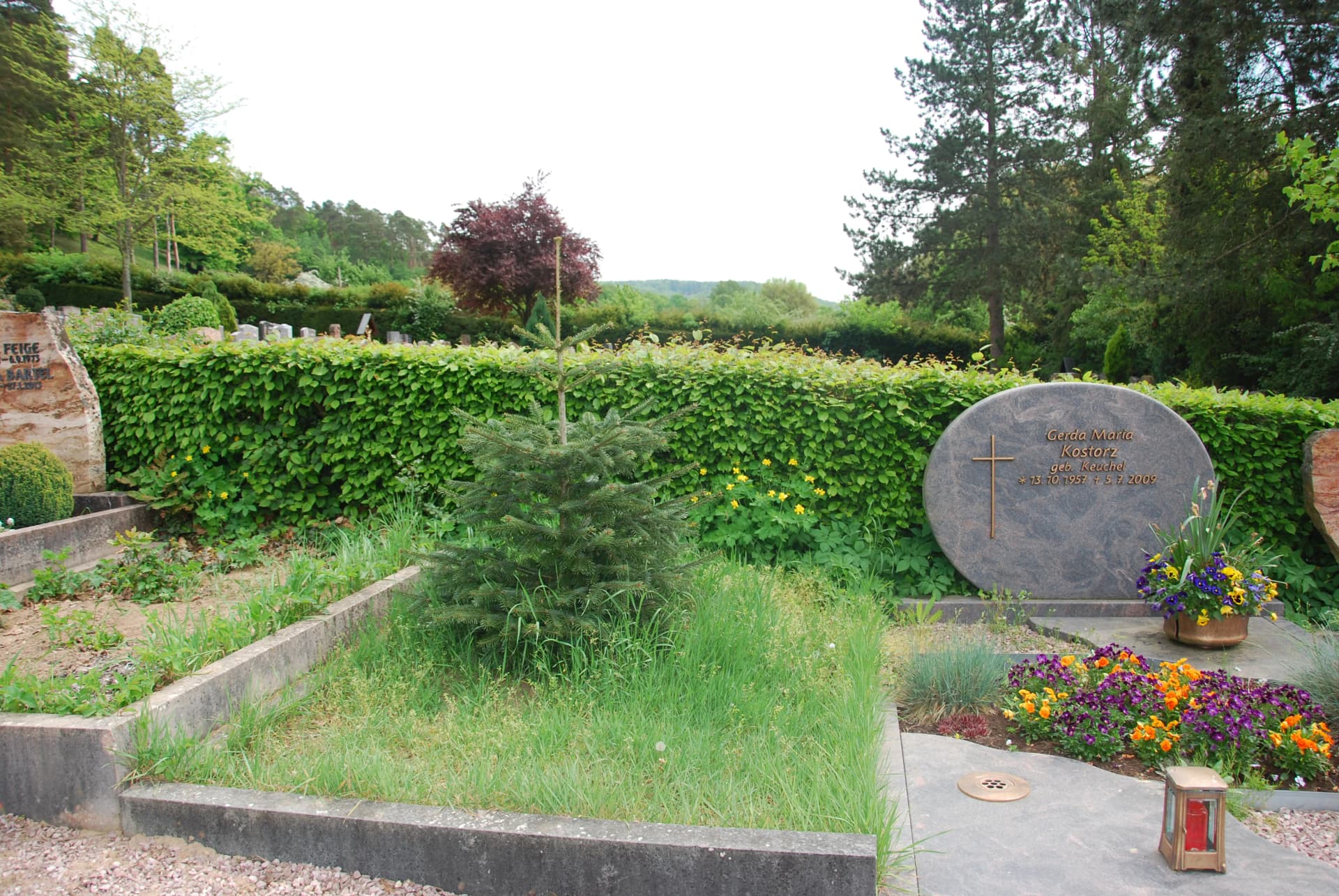 Grabstätten auf einem Friedhof mit Hecke, Grabstein und bepflanztem Blumenbeet