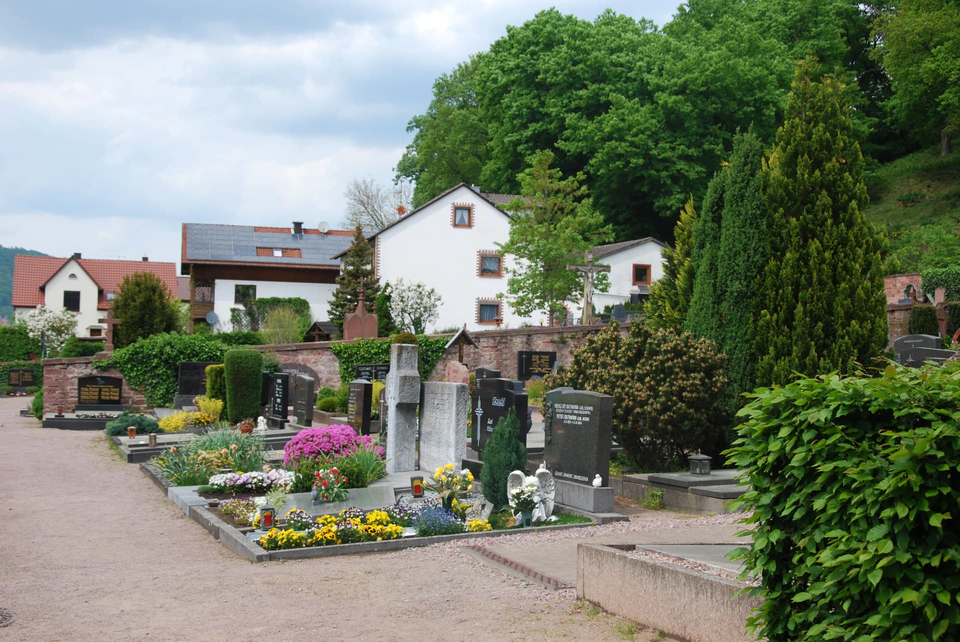 Friedhof mit Grabsteinen, blühenden Gräbern und Hecken, im Hintergrund Wohnhäuser und ein bewaldeter Hang.