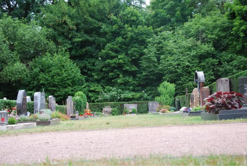 Friedhof mit Grabsteinen, Blumenschmuck und Hecken, im Hintergrund dichte Bäume