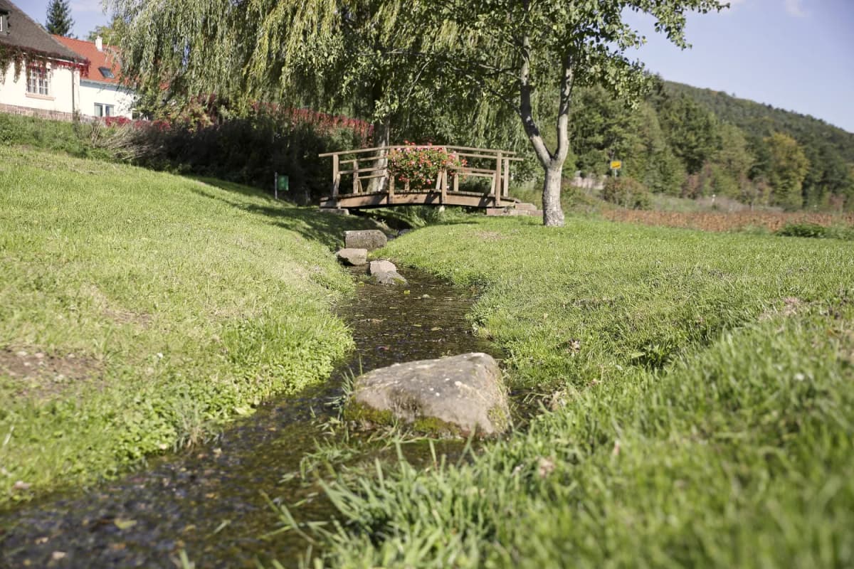 Eine Brücke in Sackenbach führt über einen kleinen Bach
