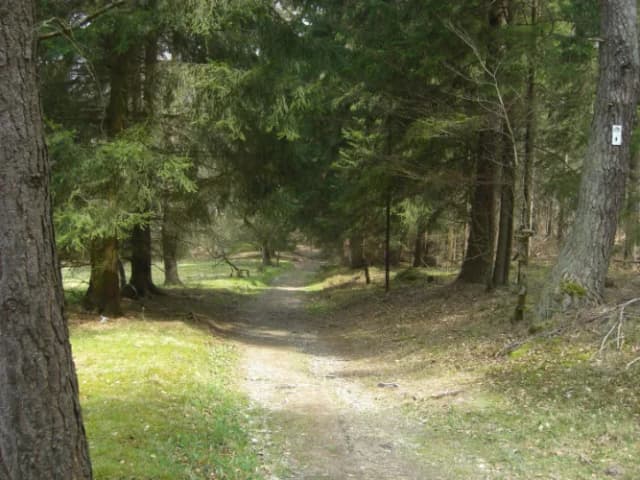 Blick auf den Wanderweg "Auf den Spuren von Schneewittchen", der durch den Spessartwald führt.