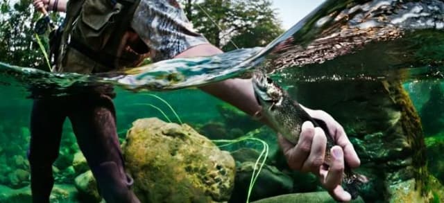 Angler hält einen gefangenen Fisch unter Wasser, aufgenommen mit halb getauchter Kamera im Fluss