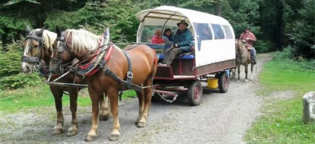 Zwei Pferde ziehen einen Planwagen mit Fahrgästen über einen Waldweg, begleitet von einem Reiter.
