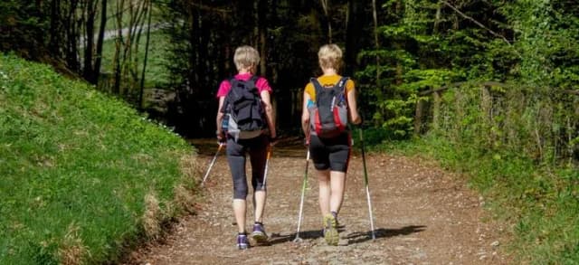 Zwei Personen mit Rucksäcken und Wanderstöcken gehen auf einem Waldweg