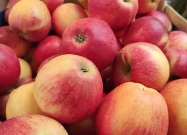 Rot-gelbe Äpfel liegen dicht aufeinander in einer Kiste.