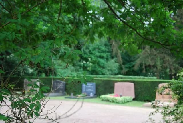 Grabsteine auf einem Friedhof hinter Hecken, umrahmt von grünen Zweigen