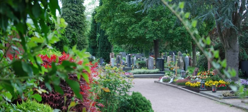 Friedhofsweg zwischen Grabsteinen, Bäumen und blühenden Beeten