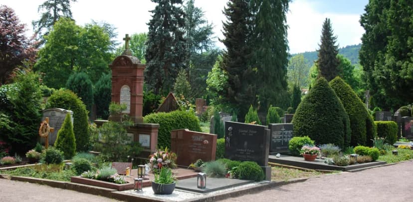Friedhof mit Grabsteinen, gepflegten Beeten, Formhecken und Bäumen