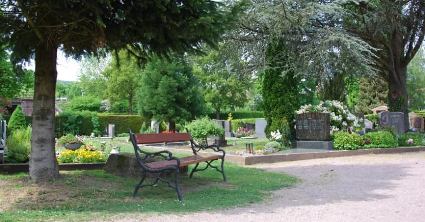 Sitzbank auf einem Friedhof zwischen Bäumen, Sträuchern und Grabsteinen