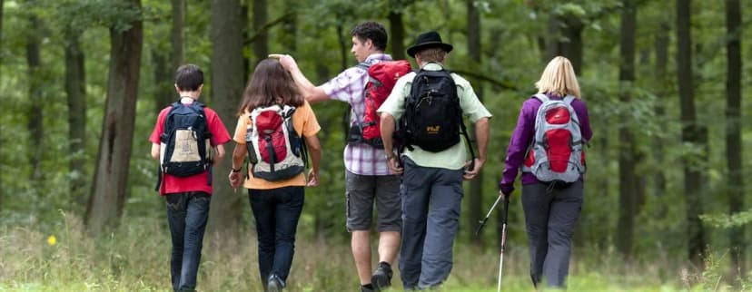 Fünf Personen mit Rucksäcken wandern von hinten gesehen auf einem Waldweg