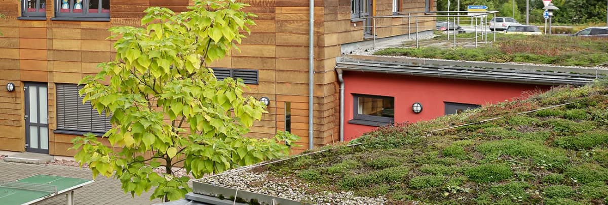 Gebäude mit Holzfassade und begrüntem Flachdach, davor ein Baum und ein Tischtennistisch