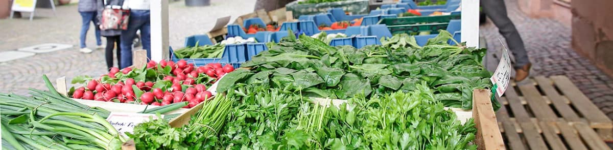 Marktstand mit Radieschen, Salat und Frühlingszwiebeln in Kisten auf dem Wochenmarkt