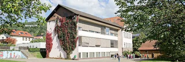 Schulgebäude mit Rankpflanzen an der Fassade, im Hintergrund Häuser am Hang