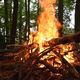Wald-Erlebnis