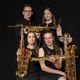 Picknickkonzert - Passion4Saxxes