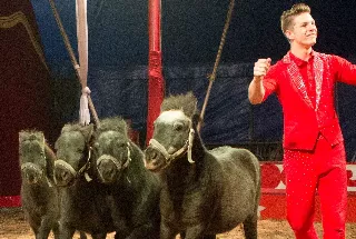 Cirkus Manuel Weisheit Cirkus Manuel Weisheit